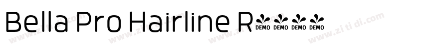 Bella Pro Hairline R字体转换